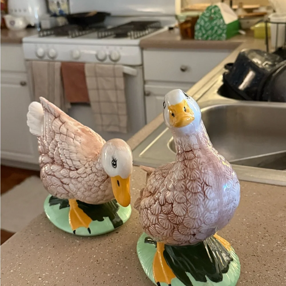 Cute 2 cottagecore Ceramic Duck Figurines